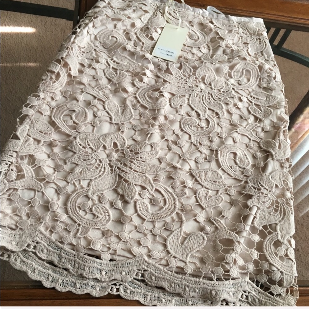 NWT IVORY CRUSHE/LACE SKIRT - Picture 3 of 8